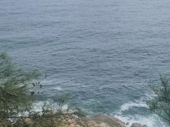 -广东惠东海龟国家级自然保护区
