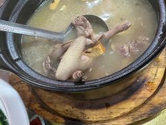 -东鸽皇(奥园·中环广场店)