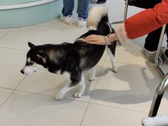 -怪兽屋·羊驼·猫咖·狗咖(俊华广场店)