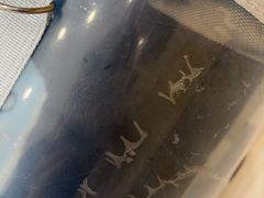 -宠颐生宠物医院·异宠猫科内科·诊疗中心宠巢店