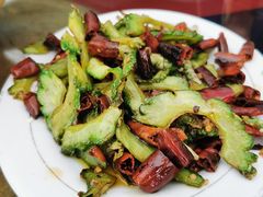 -蜀香川菜鱼庄(然乌店)