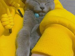 -么么咖啡(燕郊店)