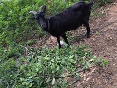 -晋江站-售票处