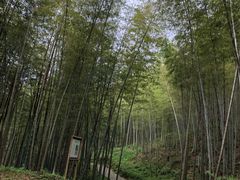 -广州市石门国家森林公园