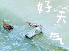 -黄姚古镇