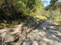 -广州白江湖森林公园