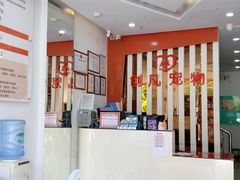 -创凡宠物医院·骨专科  猫科中心(西乡分院)