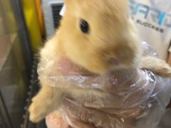 -宠爱我(南山店)