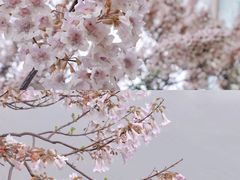 -红星桥(地铁站)