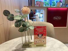 -哈根达斯(深圳海岸城店)