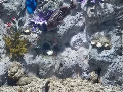 -福州罗源湾海洋世界旅游区