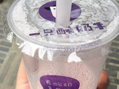 -一只酸奶牛(奎星楼店)