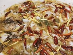 -新太二·鲜料川菜(智慧城广百店)