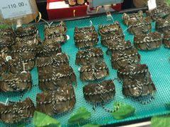 -北京华联购物中心(天通苑店)