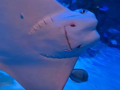 -沈阳海洋探索中心