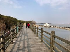 -吴淞炮台湾湿地森林公园烧烤区