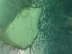 -上海海洋水族馆