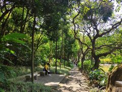 -云溪植物园