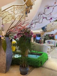 -伽美医疗美容医院·高端抗衰中心