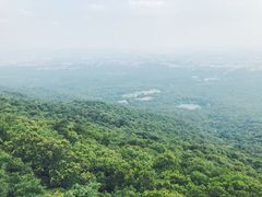-紫金山天文台