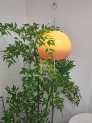 -变美丽半永久纹眉连锁·机器野生眉·洗眉