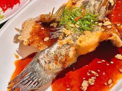 -肥福排档(星光店)
