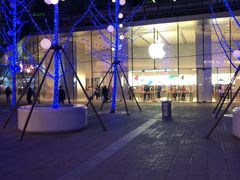 -Apple零售店(华贸购物中心店)