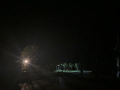 -仙游寺
