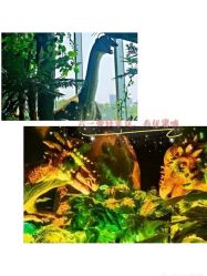 -恐龙探索乐园(磁器口店)