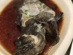 -盐通酒家(金桥湾清水苑店)