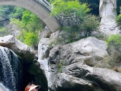 -陕西省红河谷森林公园