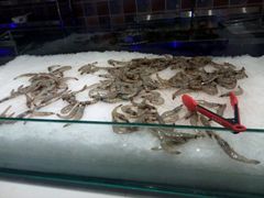 -鑫海汇海鲜烤肉火锅自助(七彩城店)