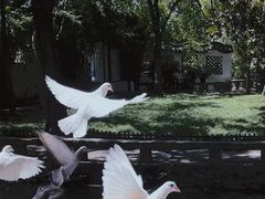 -西园戒幢律寺