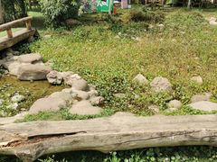 -秀丽东方