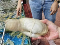 -三亚新鸿港水果一级批发市场