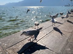 -滇池海埂公园