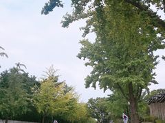 -景福宫
