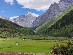 -稻城亚丁景区-冲古草甸