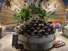 -五月罗马海鲜自助餐厅(陆家嘴店)