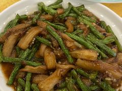 -鸿达渔港