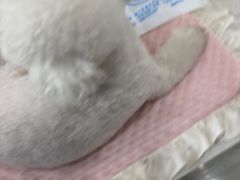 -海门爱心宠物医院