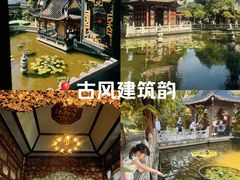 -碧江金楼