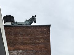 -福禧酒窖·中餐厅 (万柳店)