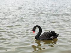 -宁波杭州湾国家湿地公园