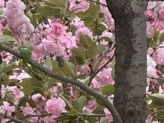 -兰岛广场(白沙路店)