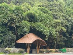 -缙云山景区