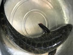 -老四川平头酸菜鱼(衙前店)