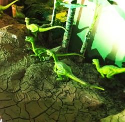 -恐龙探索乐园(磁器口店)