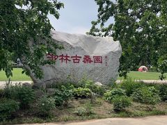 -御林古桑园