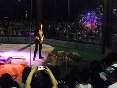 -清迈夜间动物园